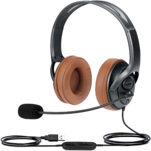 Headset with Mic